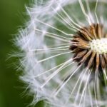 Щоб не обірвати любов на півслові