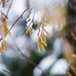 Як я стала письменницею